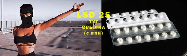 каннабис Новозыбков