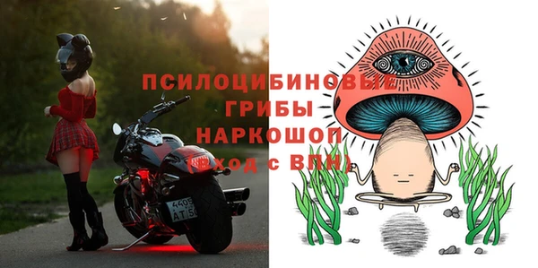 каннабис Новозыбков